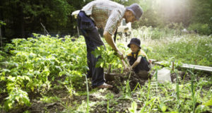 Farming and Faithfulness, Part 2: Build Soil