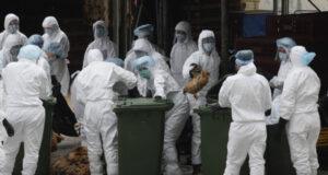 Controversy Over H5N1 Bird Flu Research: Will The Mutation Go Airborne?