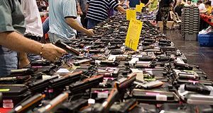 Maryland County Gun Show Ban