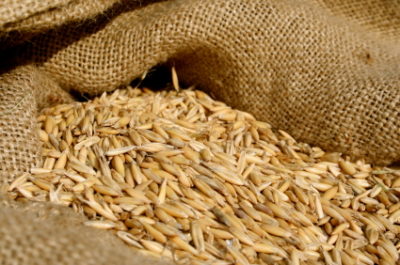 bag of oats