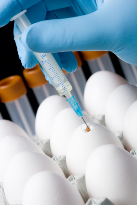 Bioterrorism Threat Concerns Over Bird Flu Research