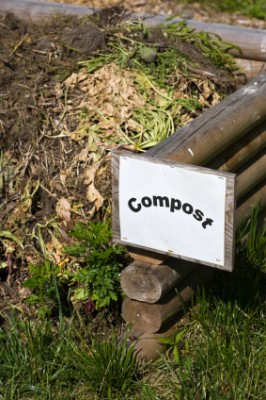 Compost pile