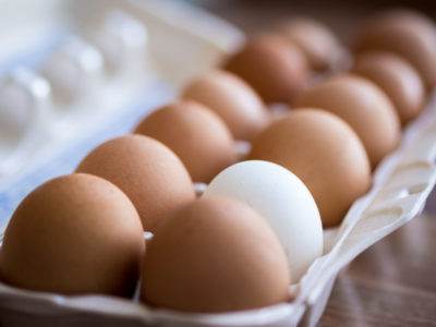 Long-term egg storage