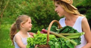 Life As Learning: Homeschooling And Gardening