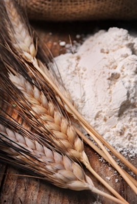 Wheat flour