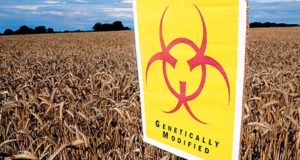 Obama Waivers On GMO In The Face Of A Colossal Deal With Monsanto
