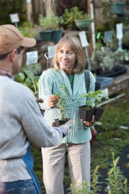 Shopping for plants