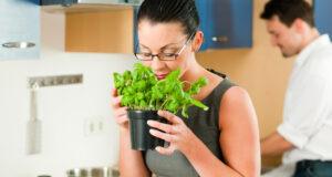 Herbs in kitchen