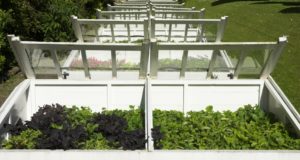 Why Your Garden Must Have Cold Frames