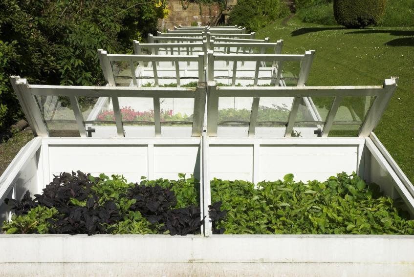 cold frames