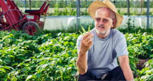 Top 17 Problems All Green Bean Growers Must Overcome