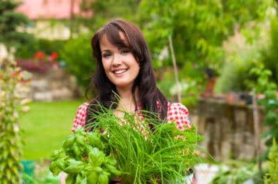 herb garden