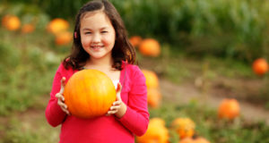5 Tricks To Growing A Plentiful Pumpkin Patch