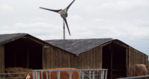 Top 10 Wind Energy Questions Every Homeowner Must Ask