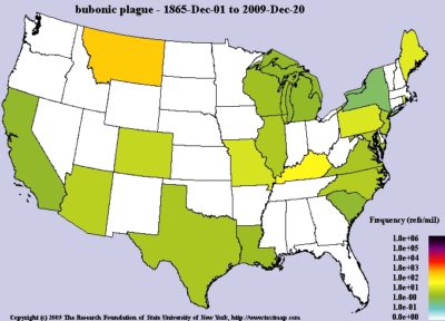 bubonic plague united states