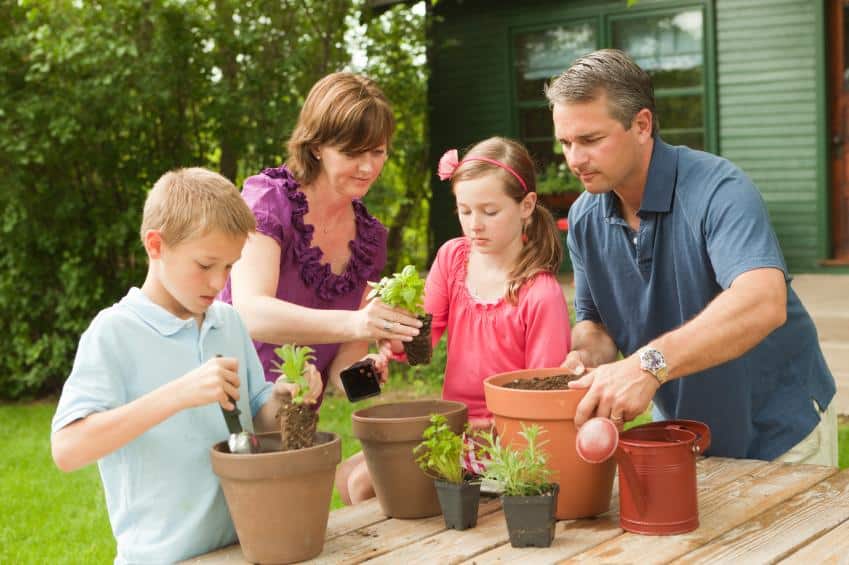 family herb garden