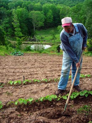 man gardening