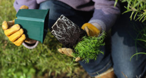 How You Can Still Get Your Herb Garden Planted