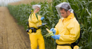 Monsanto’s Roundup Ready Contains Dangerous Glyphosate