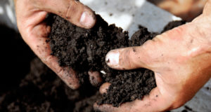 Create The Best Soil Mixes For Your Indoor And Raised Gardens