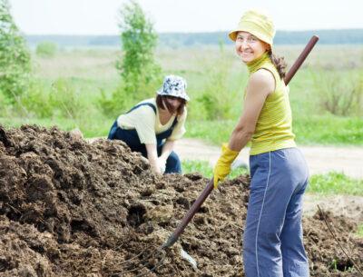 organic manure fertilizer