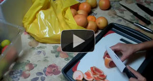 Canning Grapefruit, Oranges and Mandarins