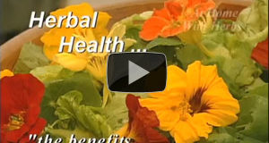 Benefits of Herbal Salads