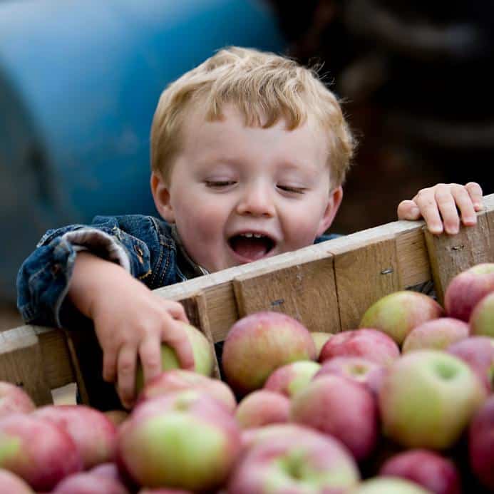 homemade applesauce