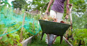Top 5 Questions About Raised Garden Beds