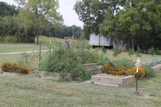 raised beds