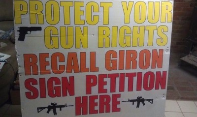 second amendment petition