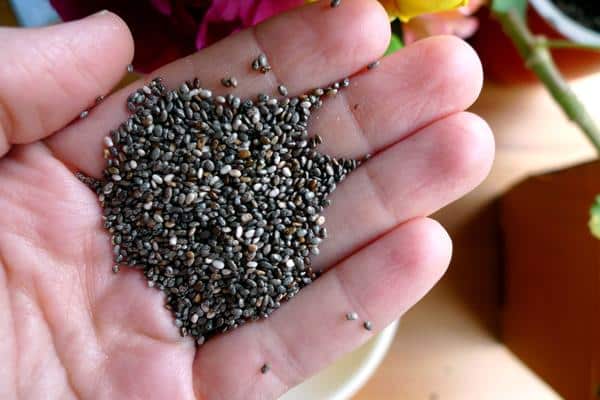 Chia seeds emergency