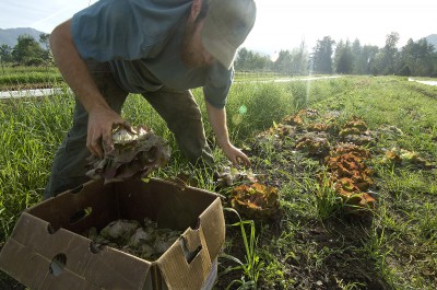 FDA rules organic farm