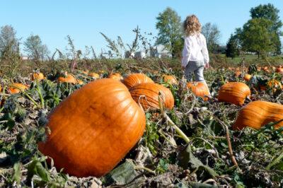 chores before winter