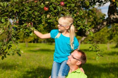 home orchard