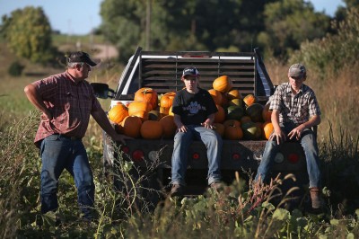 organic family obamacare