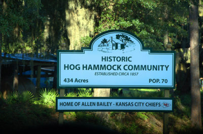 sapelo island hog hammock