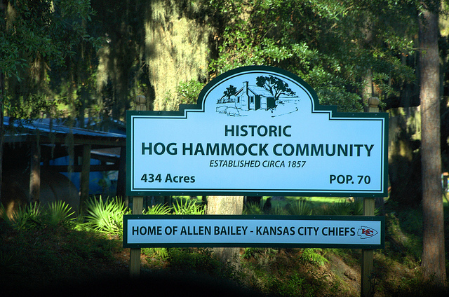 sapelo island hog hammock