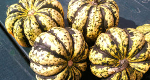 5 Ideas For Cooking Winter Squash