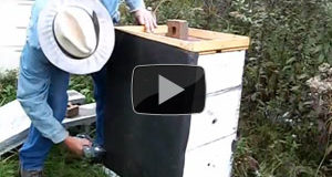 Prepping Bee Hives For Winter