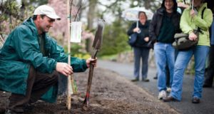 3 Steps To Planting A Healthy, Bountiful Tree During Winter