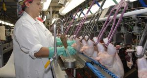 USDA Pulling Inspectors From Poultry Plants To Save Money
