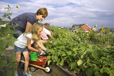 cheap gardening