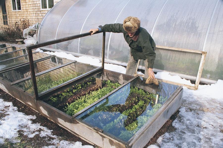 cold frame gardening