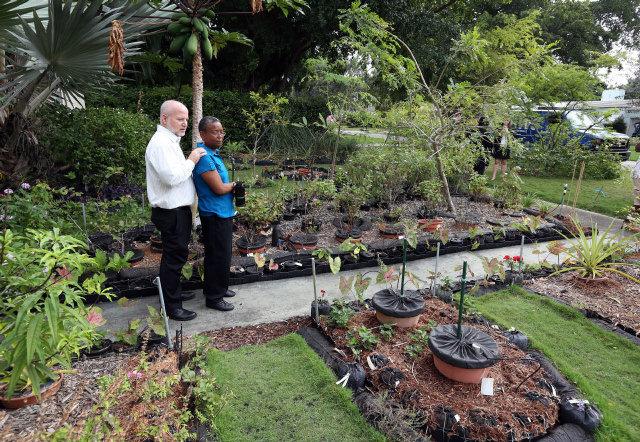 florida couple garden