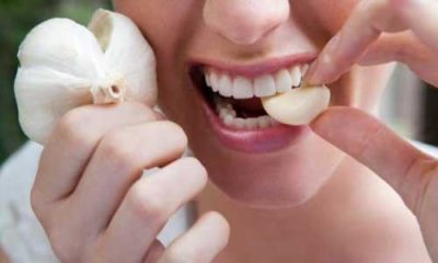 garlic health