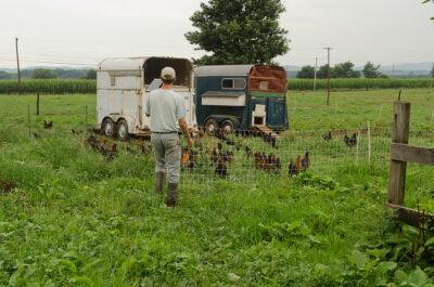 organic farmers