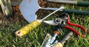 9 Essential Tools Every Serious Gardener Needs