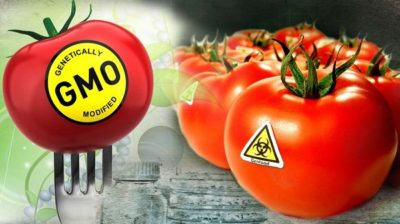 GMO myths