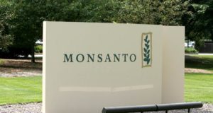 Did The FDA Ban Trans Fat To Benefit Monsanto And Biotech?
